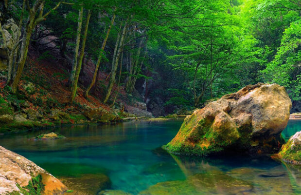 Suối Tiên Vũng Tàu – Điểm đến nổi tiếng thu hút khách du lịch