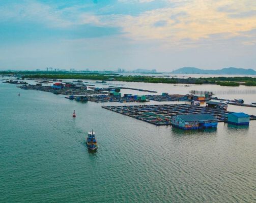 Khám phá đảo Long Sơn Vũng Tàu Cùng Bè Nổi Và Những Con Hàu Béo