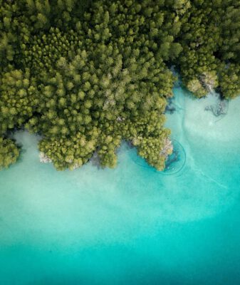 bật mí kinh nghiệm lặn biển tại Côn Đảo nhất định nên biết